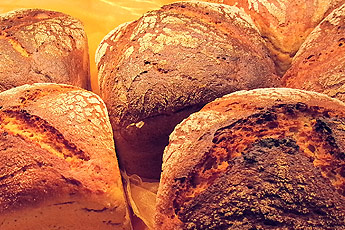 Kartoffel-Buttermilchbrot